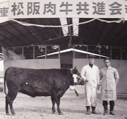 松阪牛の仕入風景（松阪肉牛共進会にて）