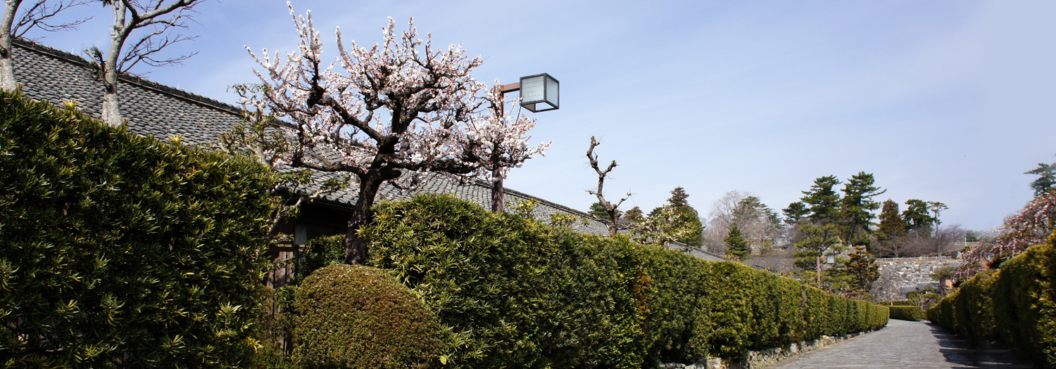 三重の見どころから【松阪まるよし】まで