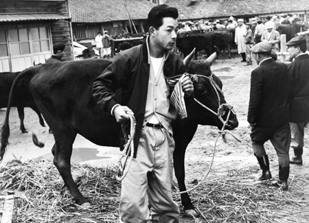 1958年頃の松阪肉牛共進会