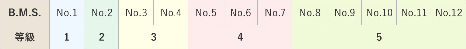 B.M.S　No.と等級区分