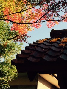 三重県の紅葉情報