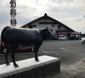 松ヶ島牛