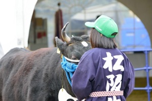 松阪牛 まつり 