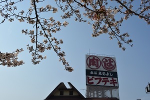 まるよしの ＳＡＫＵＲＡ